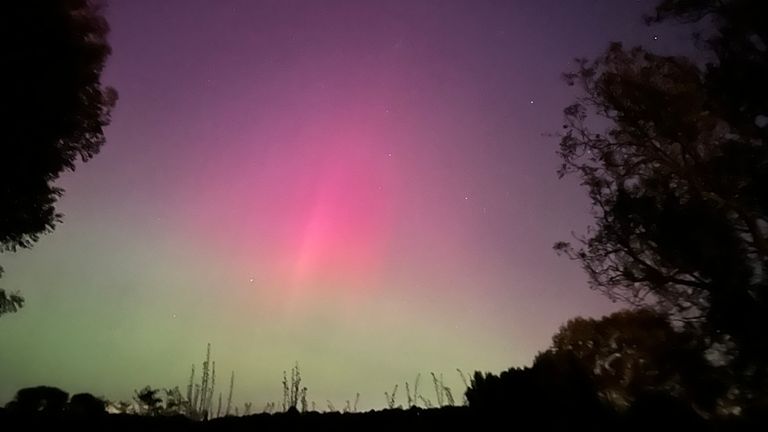 The Northern Lights on Thursday night. Pic: Tamara Bates