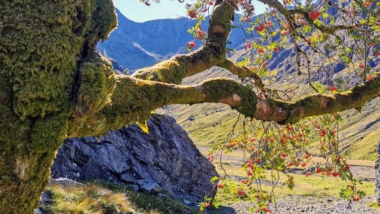 Pic: National Trust for Scotland