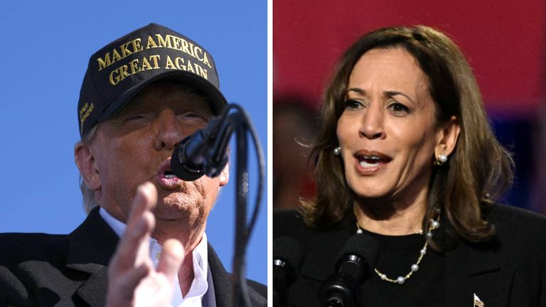 Donald Trump and Kamala Harris. Pics: AP