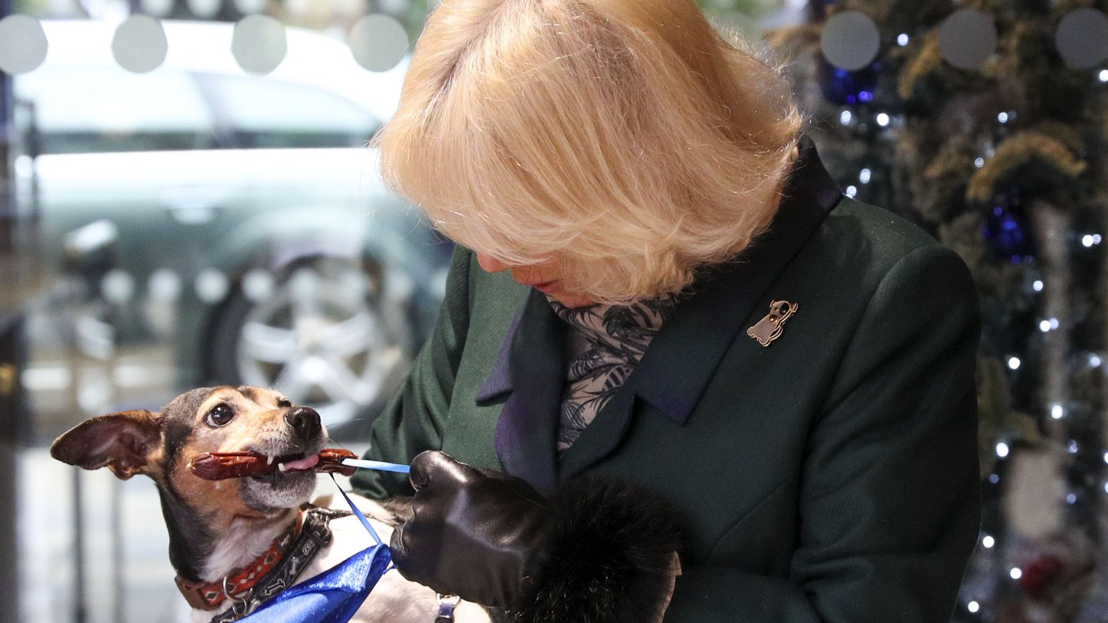 Queen Camilla's 'sad farewell' to beloved rescue dog and 'much-loved