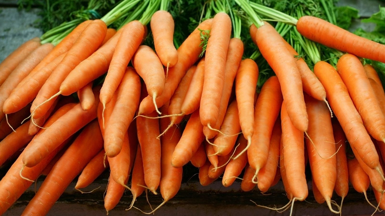 One person dead and dozens ill after eating contaminated carrots | US News