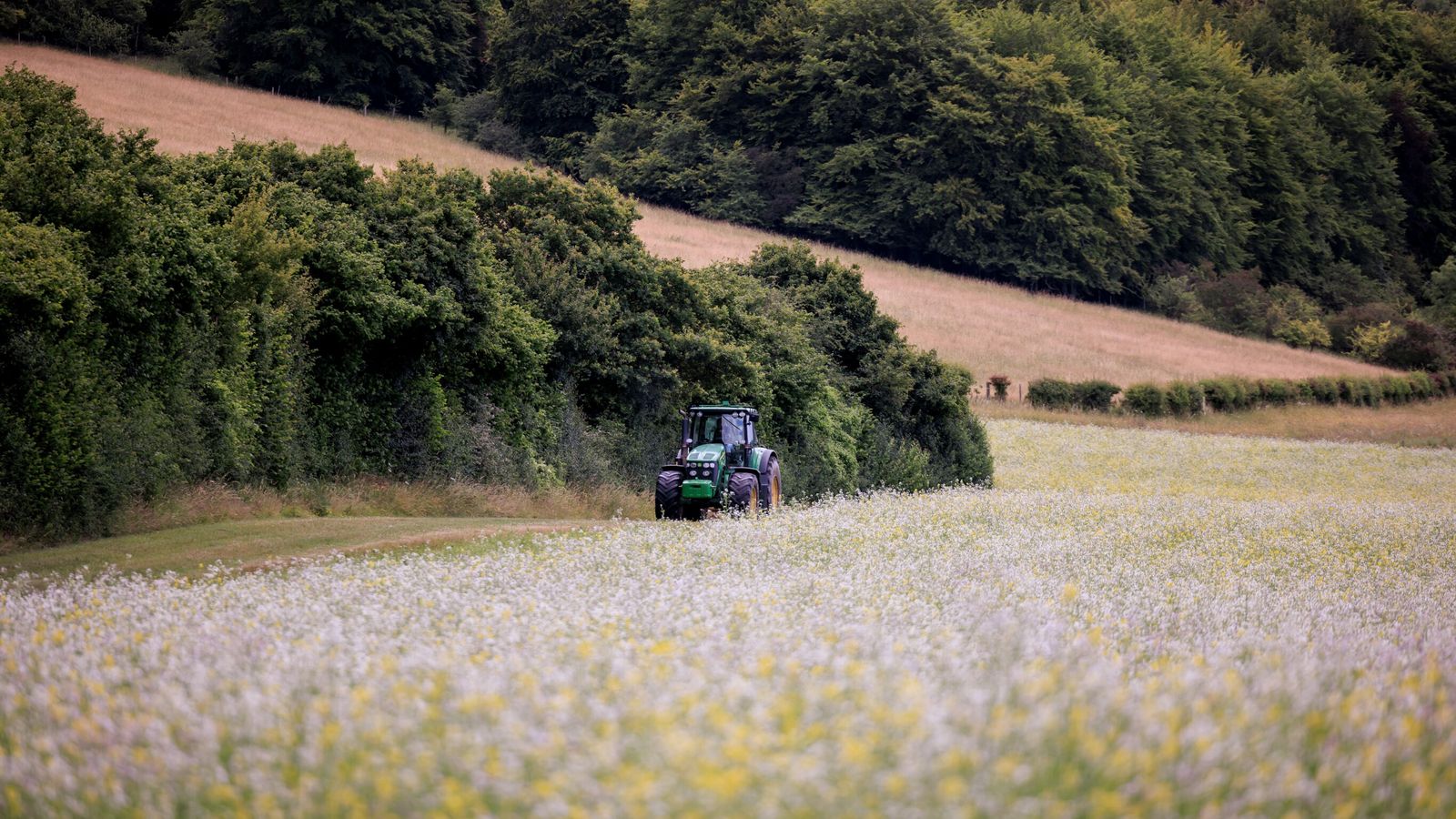 Farmers' inheritance tax could affect five times more farms than Treasury said, analysis finds