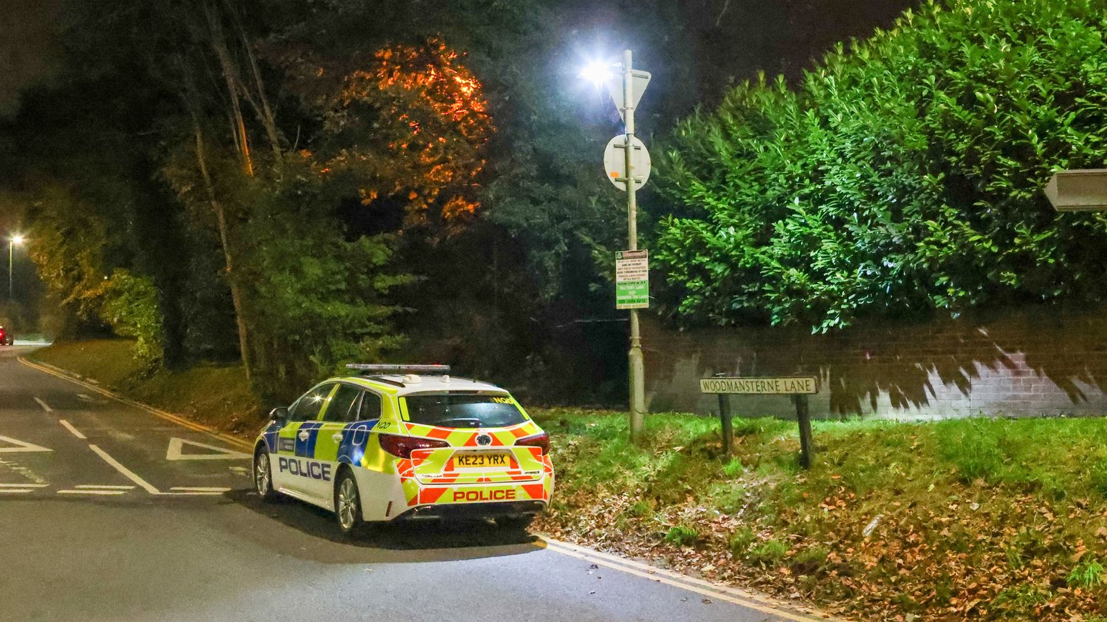 Banstead: Child dies after being hit by falling tree branch