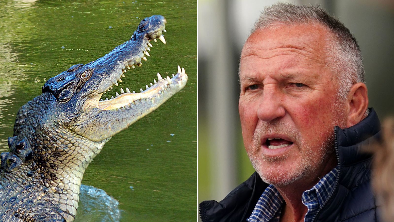 England cricket legend Sir Ian Botham falls into crocodile-infested ...