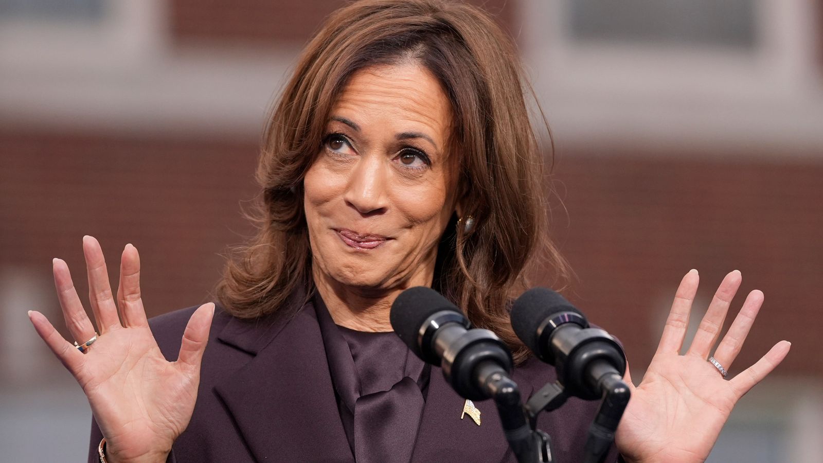 US election 2024: The Democratic Party blame game has already begun after Kamala Harris's loss