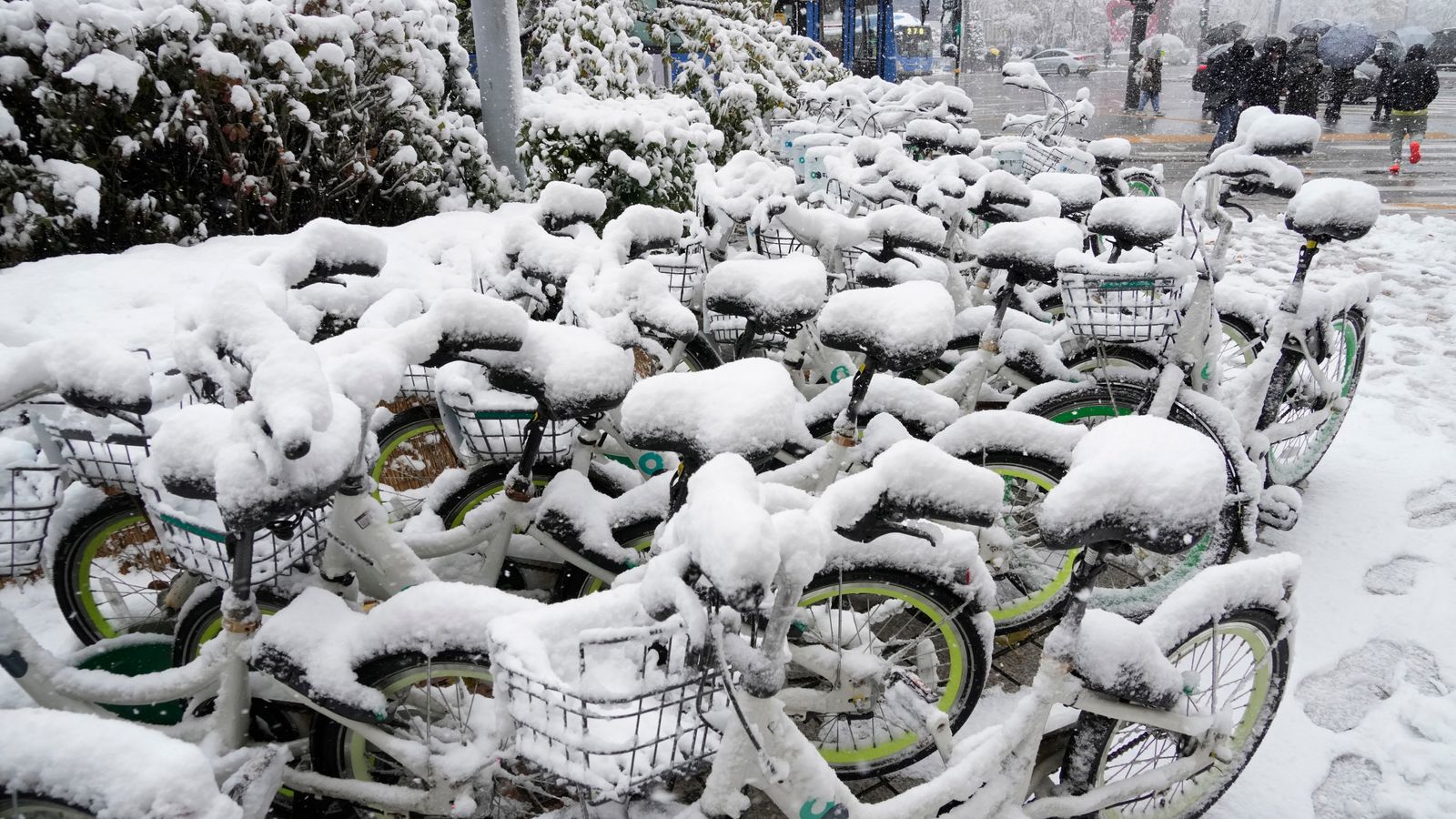 Five dead as South Korea battles record snowfall | World News | Sky News