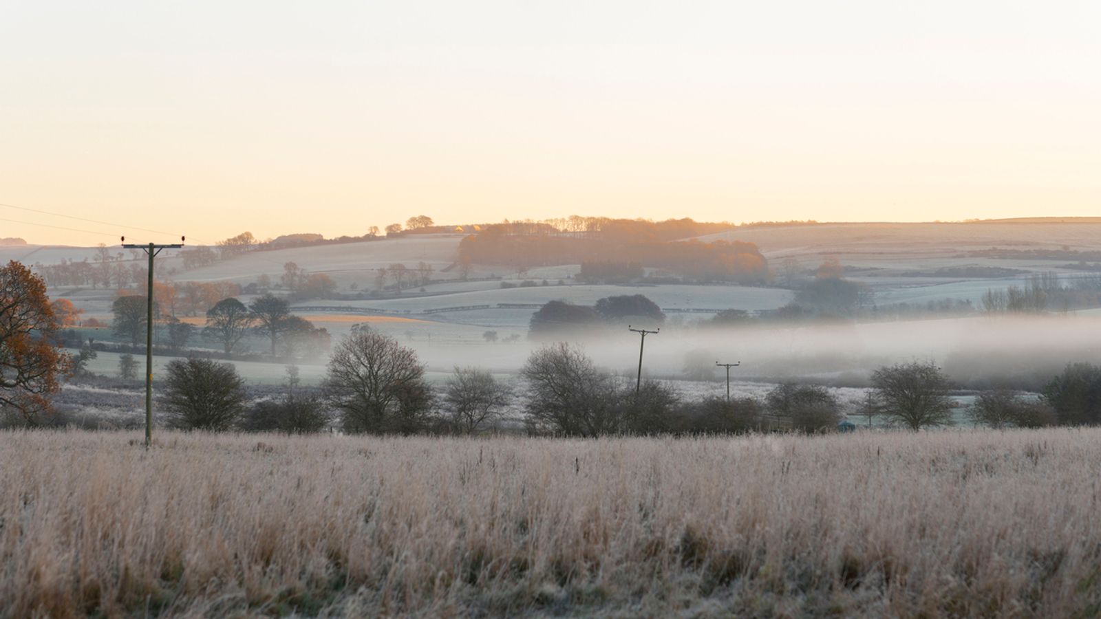 UK weather: Temperatures to drop after dreary start to November