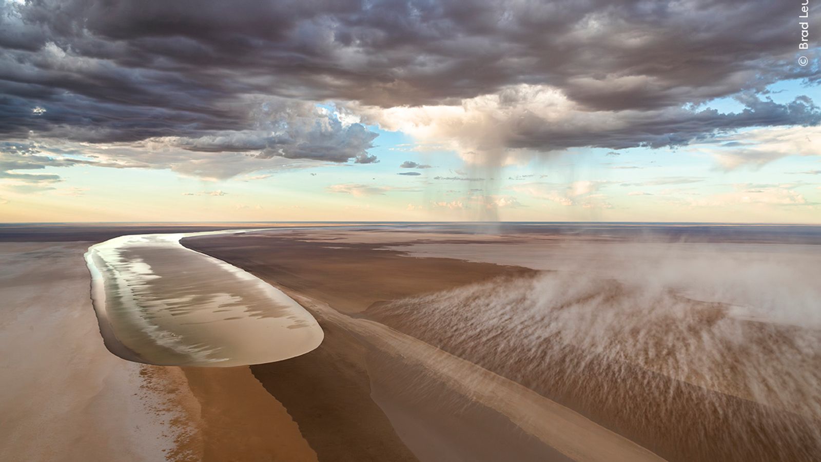 Wildlife photographer people's choice: The 25 shortlisted images | Ents ...