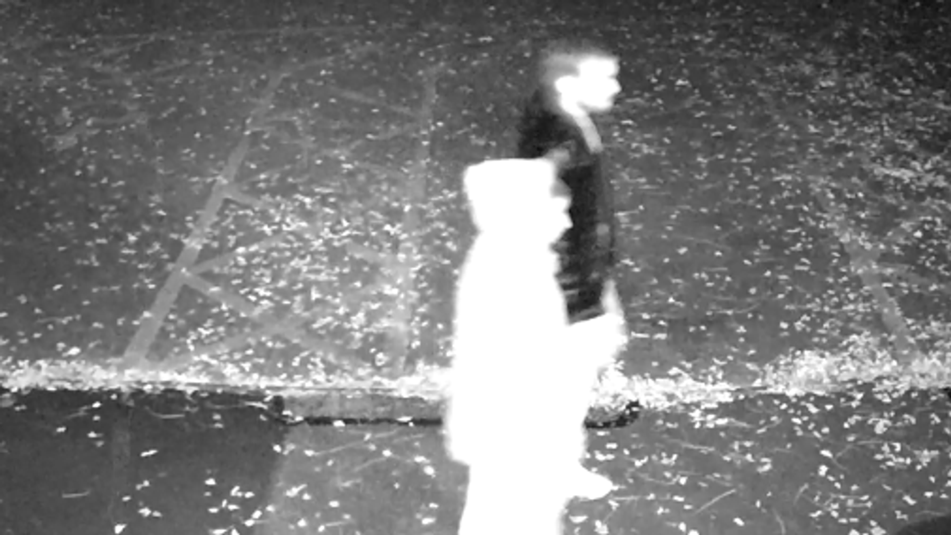 Harshita Brella murder investigation: CCTV image released from night officers believe she was killed