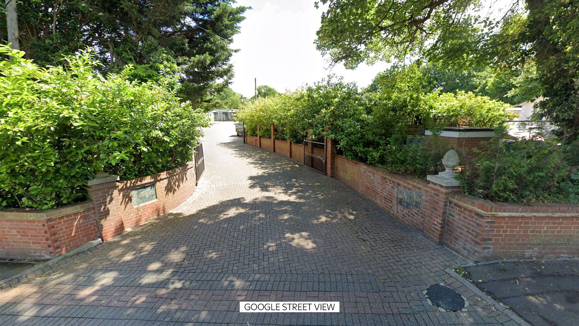 Banstead: Child dies after being hit by falling tree branch