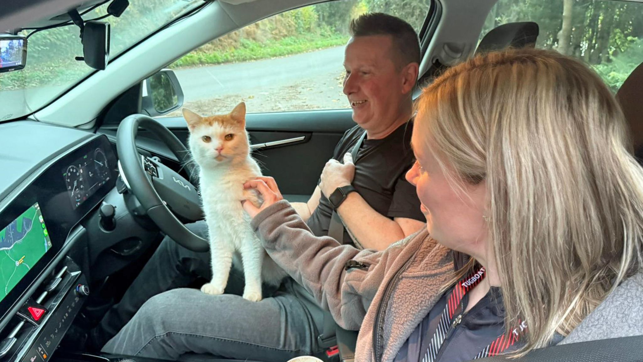 Missing cat found in Coventry - 300 miles away from home in Scotland ...