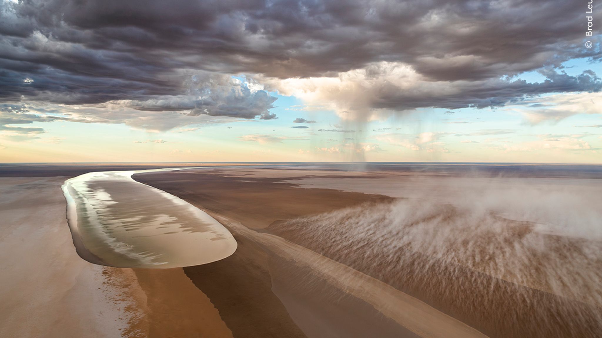 Wildlife photographer people's choice: The 25 shortlisted images | Ents ...