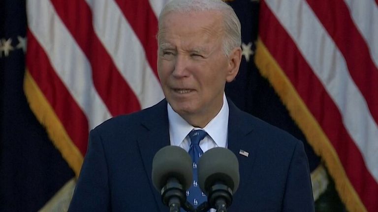 Biden preview image