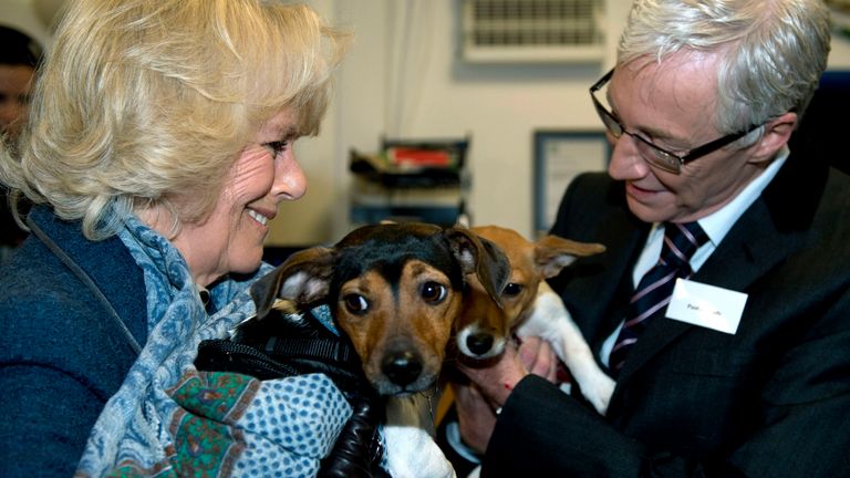 Queen Camilla Mourns the Loss of Beloved Dog Beth, a Cherished Companion Since 2011