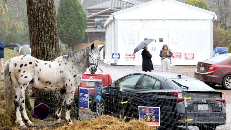 A horse stands in front of a temporary voting site located in a tent due to damages caused by Hurricane Helene, on Election Day during the 2024 U.S. presidential election, in Black Mountain, North Carolina, U.S., November 5, 2024. REUTERS/Jonathan Drake..