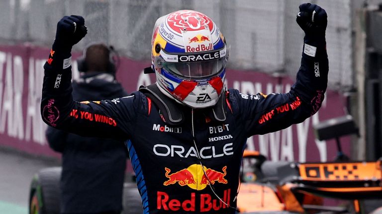 Red Bull's Max Verstappen celebrates victory at the Brazilian Grand Prix. Image: Reuters