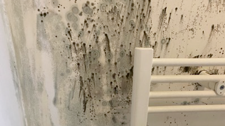 Black mould on Mr Batt's bathroom wall 