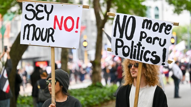 Protesters carry placards against the proposed law.
Pic: AP