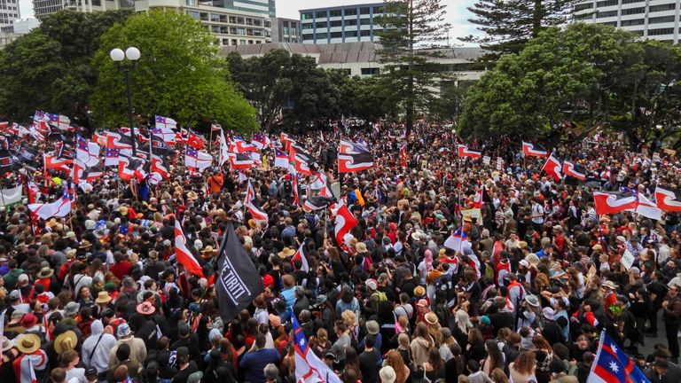 The crowds gathered outside of New Zealand's parliament.
Pic: AP