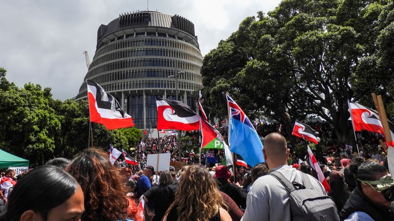 Tens of thousands gathered in front of New Zealand's parliament.
Pic: AP