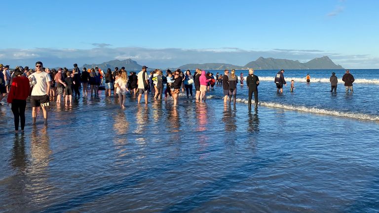 Rescuers stand in the water as they help refloat stranded pilot whales. Pic: AP