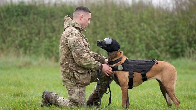 Private Dean with military working dog Una, wearing safety goggles, ear defenders and vest during continuation training, at St George's Barracks, Rutland. 
Pic: PA