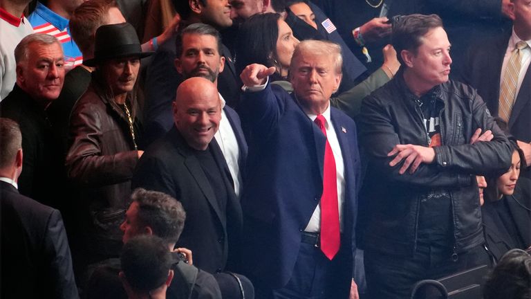 trump ufc