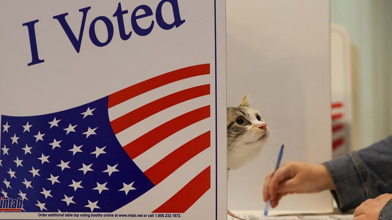 Melissa Fehl votes, next to a cat named "Skye", in the 2024 U.S. presidential election on Election Day, at the Mattress Factory in Pittsburgh, Pennsylvania, U.S., November 5, 2024. REUTERS/Quinn Glabicki