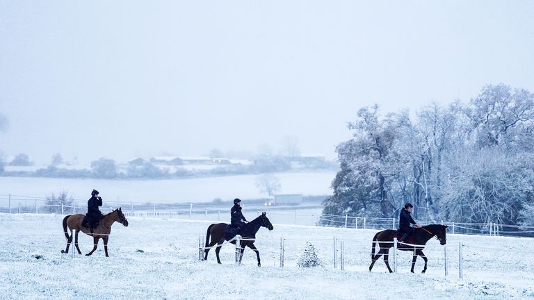 Horses on the gallops at Sam Drinkwater's Granary Stables, Strensham, Worcestershire. Picture date: Tuesday November 19, 2024. PA Photo. Photo credit should read: David Davies/PA Wire 