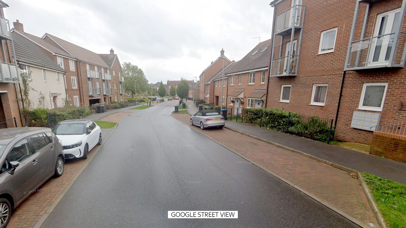 Two women and dog killed after Christmas Day 'stabbing' at flat in Milton Keynes