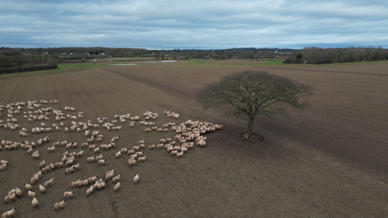 In a time of change Sky News spent a critical year on a farm - find out what we learnt