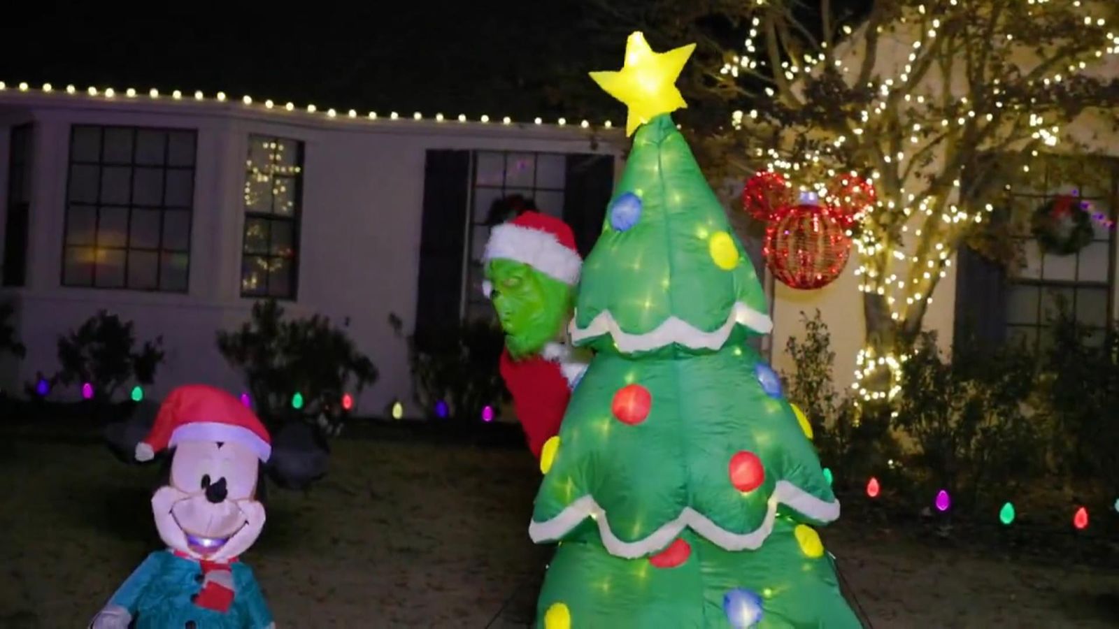 Police stop 'Grinch' from stealing Christmas spirit | US News | Sky News