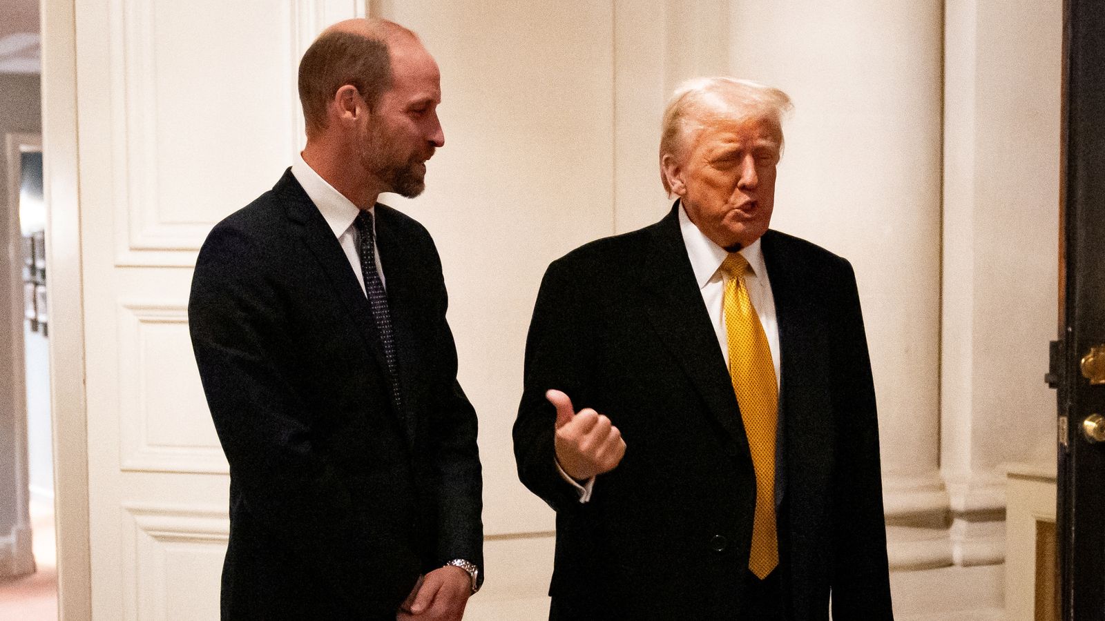 Donald Trump says Prince William 'doing a fantastic job' as they meet for a second time in Paris