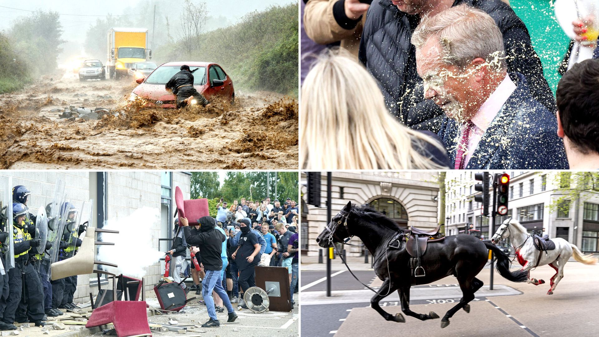 Riots, escaped horses and a milkshake to the face: 2024 in pictures