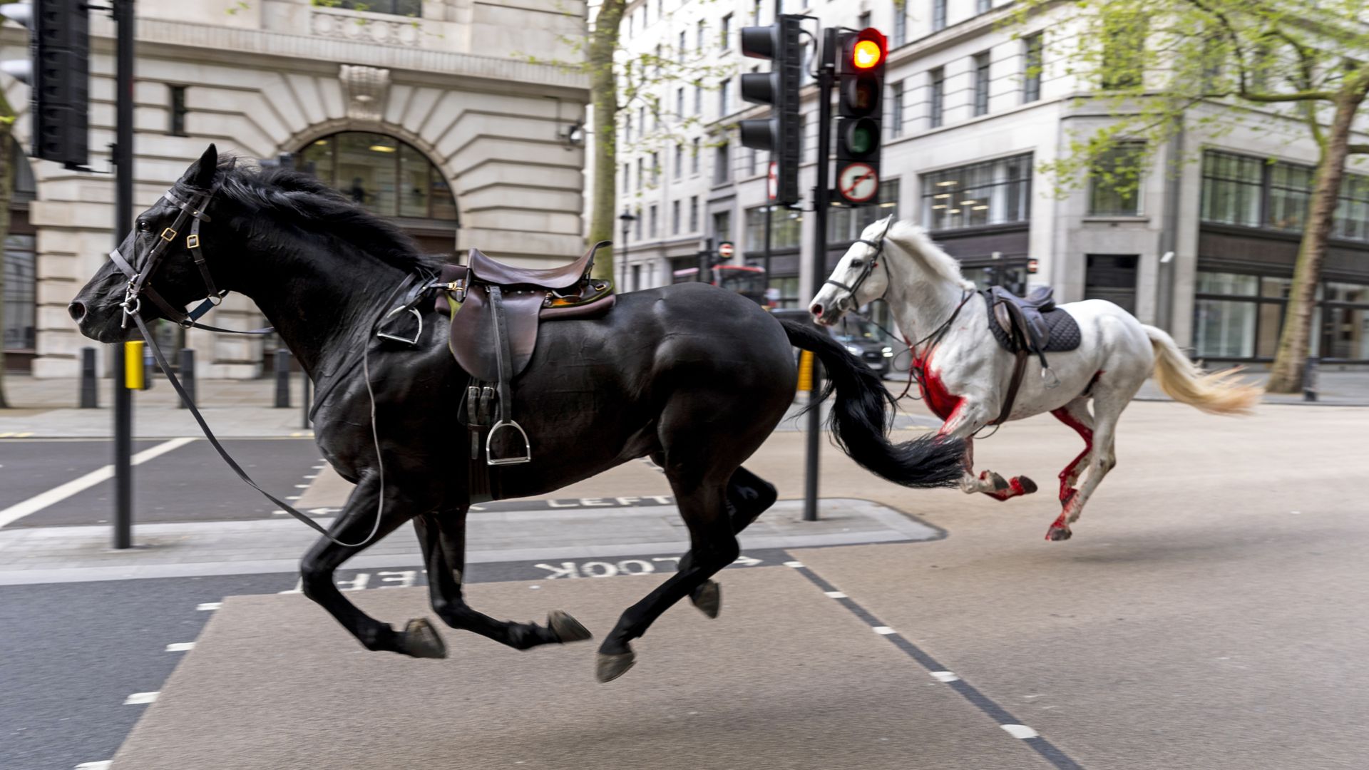 Flooding, the Northern Lights and a milkshake to the face: 2024 in pictures