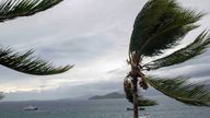 This photo provided Sunday Dec.15, 2024 by the French Army shows palm tress during strong winds in the French territory of Mayotte in the Indian Ocean, after Cyclone Chido caused extensive damage with reports of several fatalities, Saturday Dec.14, 2024. (Etat Major des Arm..es via AP)