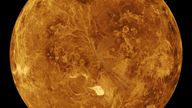 Venus' northern hemisphere as seen by NASA Magellan spacecraft. Pic: NASA