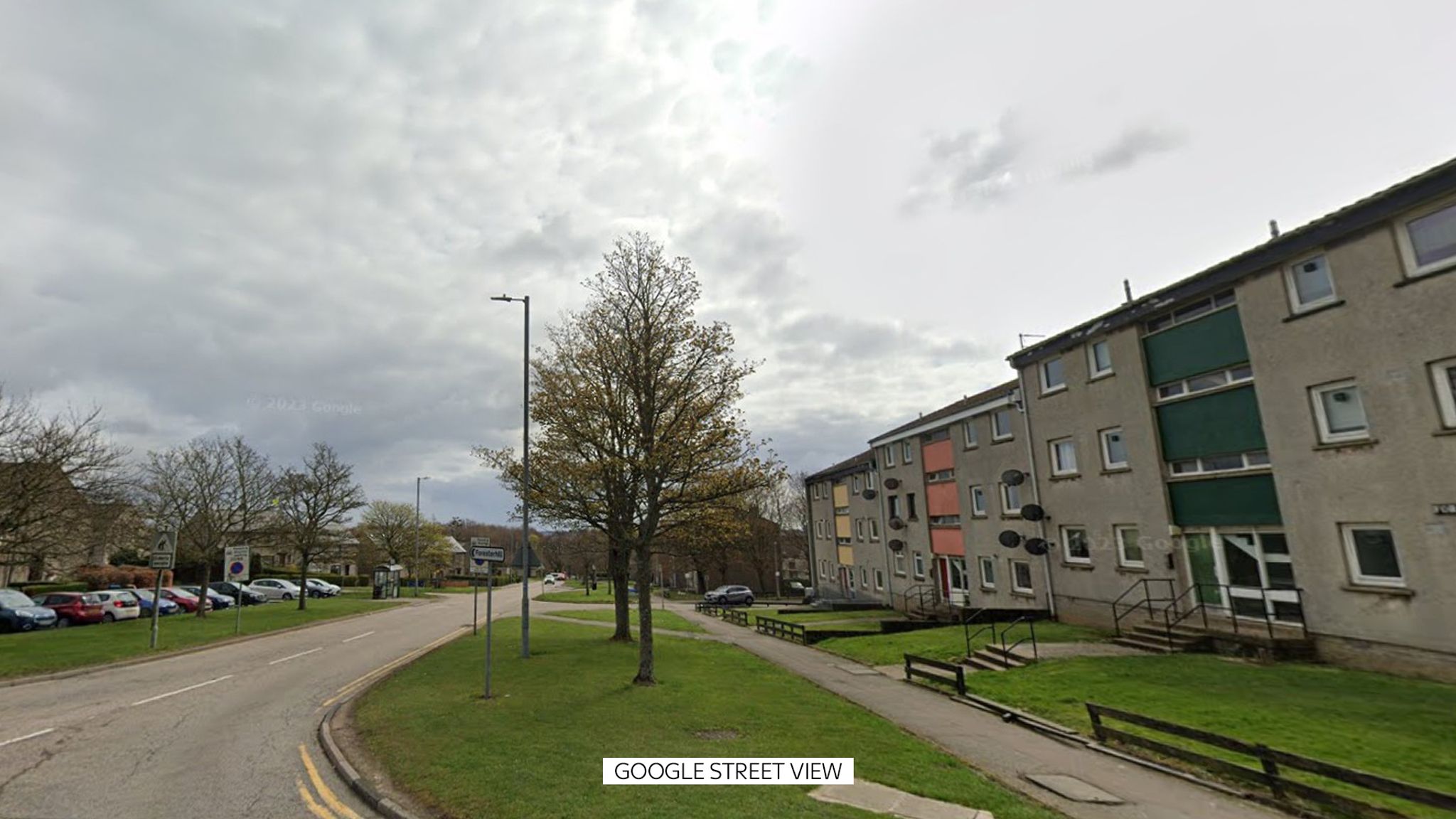 Tragic Dog Attack Claims Life of Aberdeen Woman