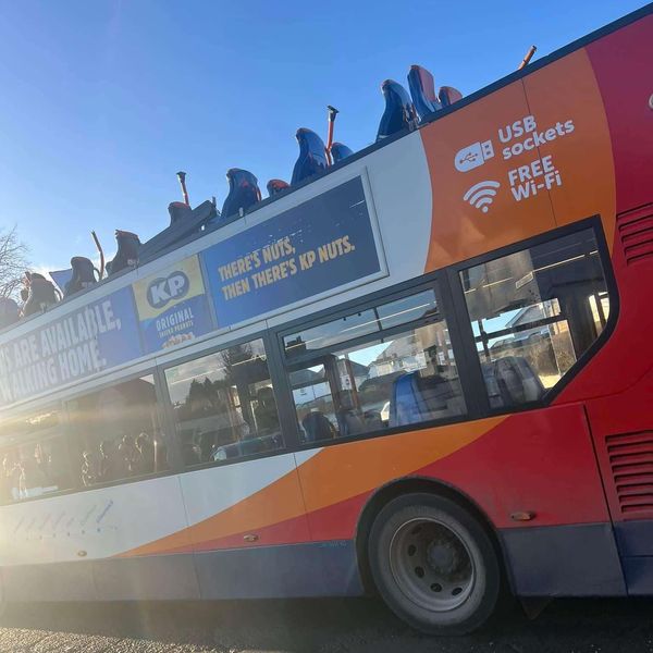 The double-decker bus crash in Kilmarnock. Pic: Aiden Lynch