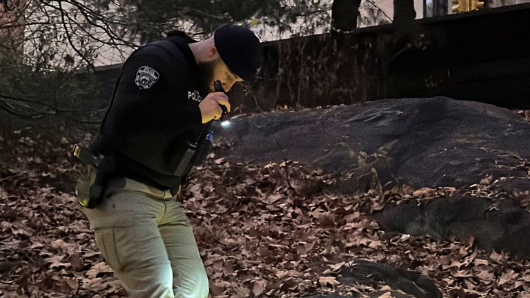 A New York City Police officer walks through brush and foliage in Central Park near 64th Street and Central Park West, Friday, Dec. 6, 2024, in New York, while searching for a backpack police believe was dropped in the park by the person suspected of killing UnitedHealthcare CEO Brian Thompson on Wednesday, Dec. 4, 2024. (AP Photo/Ted Shaffrey)