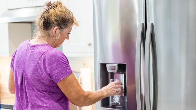 A fridge's built-in water filter. Pic: iStock