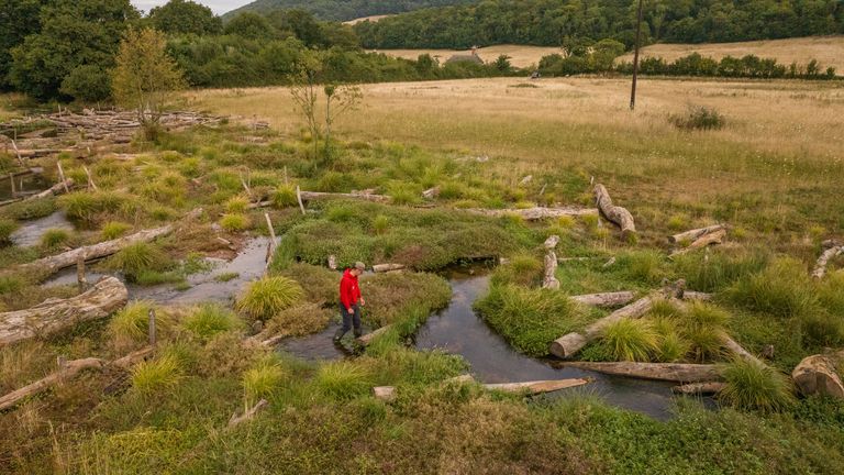 A new waterscape on the Holnicote Estate in Somerset. Pic: James Beck/National Trust/PA 
