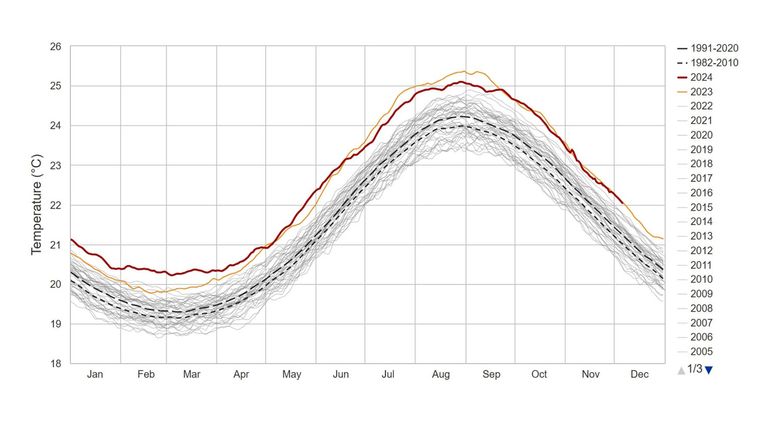 North Atlantic Daily Sea Surface Temperatures 1985-2024. Pic: Climatereanalyzer.org/NOAA