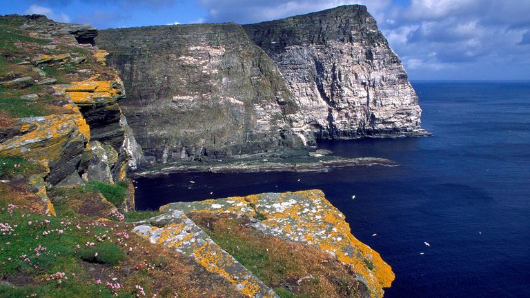 Noss National Nature Reserve ©Lorne Gill/NatureScot