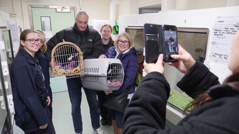 Sarah Potter with her new cats