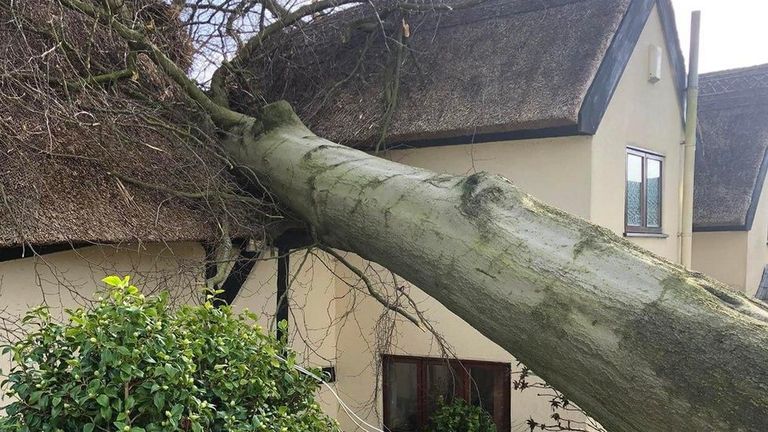 Storm Darragh in Somerset