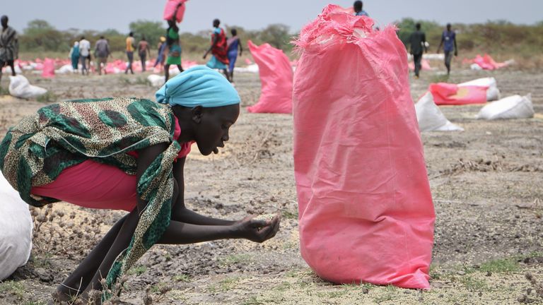 FILE - In this Wednesday, May 2, 2018 file photo, a woman scoops fallen sorghum grain off the ground after an aerial food drop by the World Food Program (WFP) in the town of Kandak, South Sudan. South Sudan has made no concrete steps toward national healing more than two years after the end of a civil war that killed nearly 400,000 people and sent more than 2 million people fleeing, a new United Nations report says Tuesday, Oct. 6, 2020. (AP Photo/Sam Mednick, File)