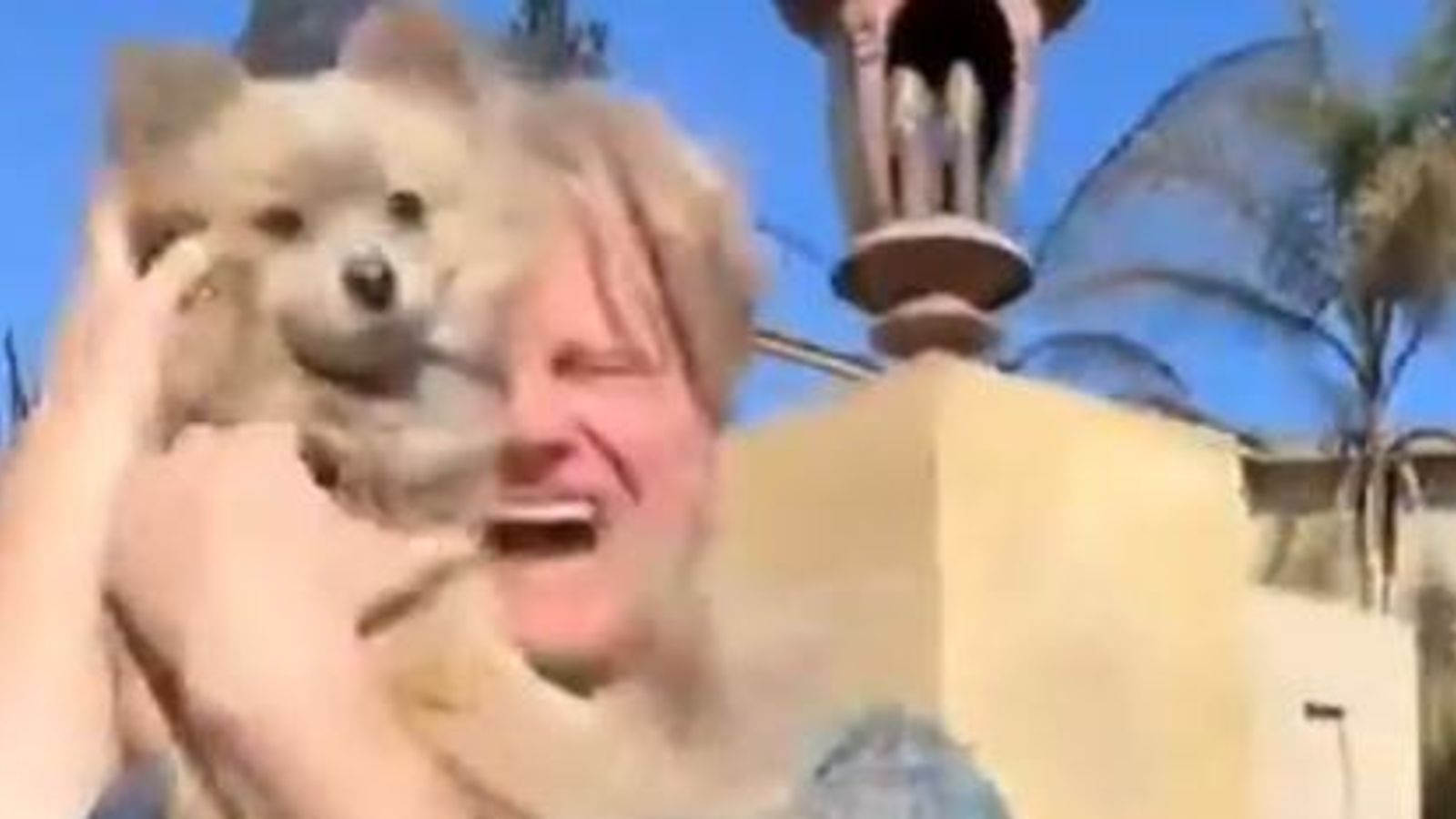 Los Angeles resident’s emotional reunion with dog who survived Palisades fire | World News