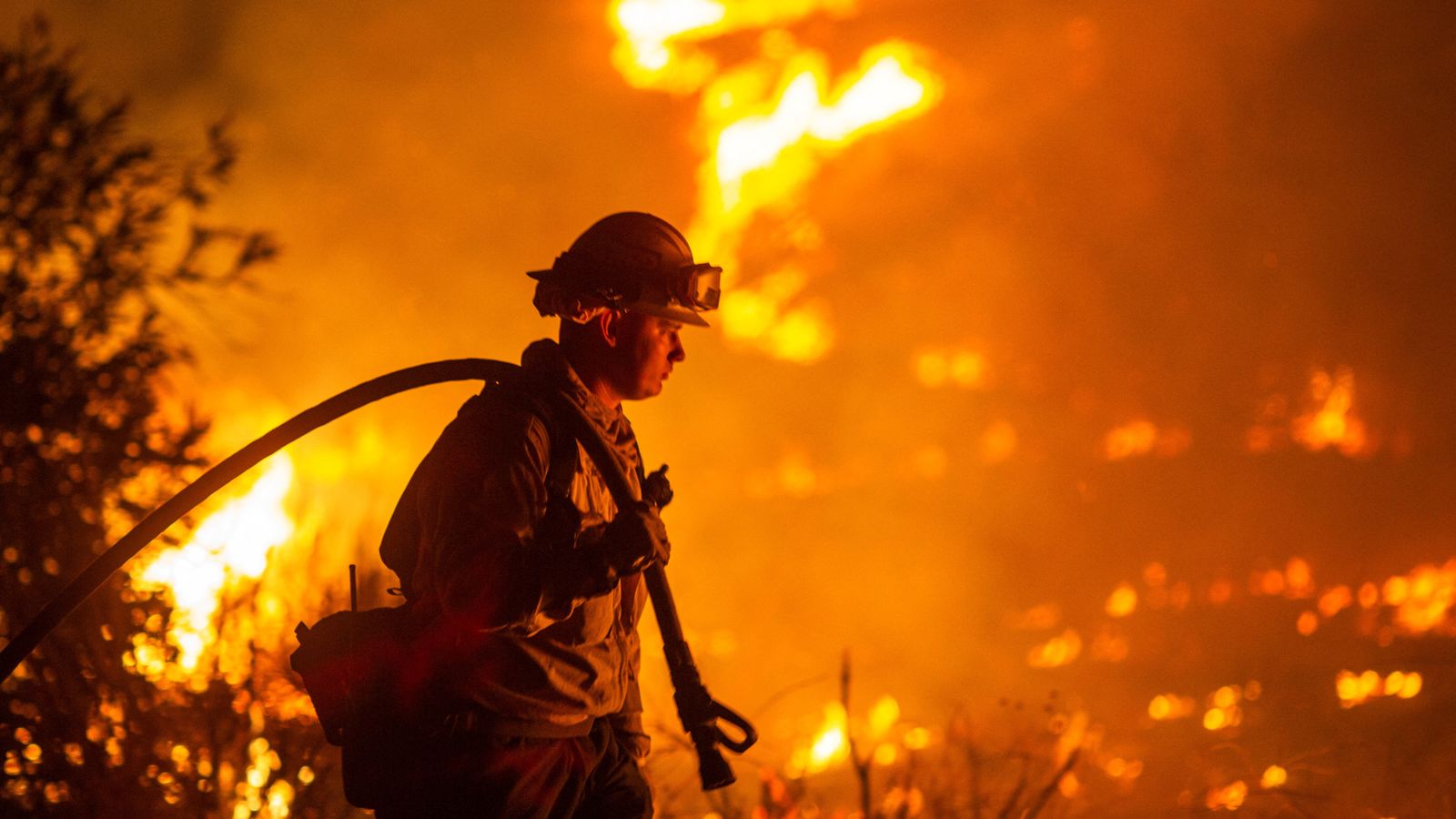 'Dangerous climate breakdown' warning as hottest January on record shocks scientists