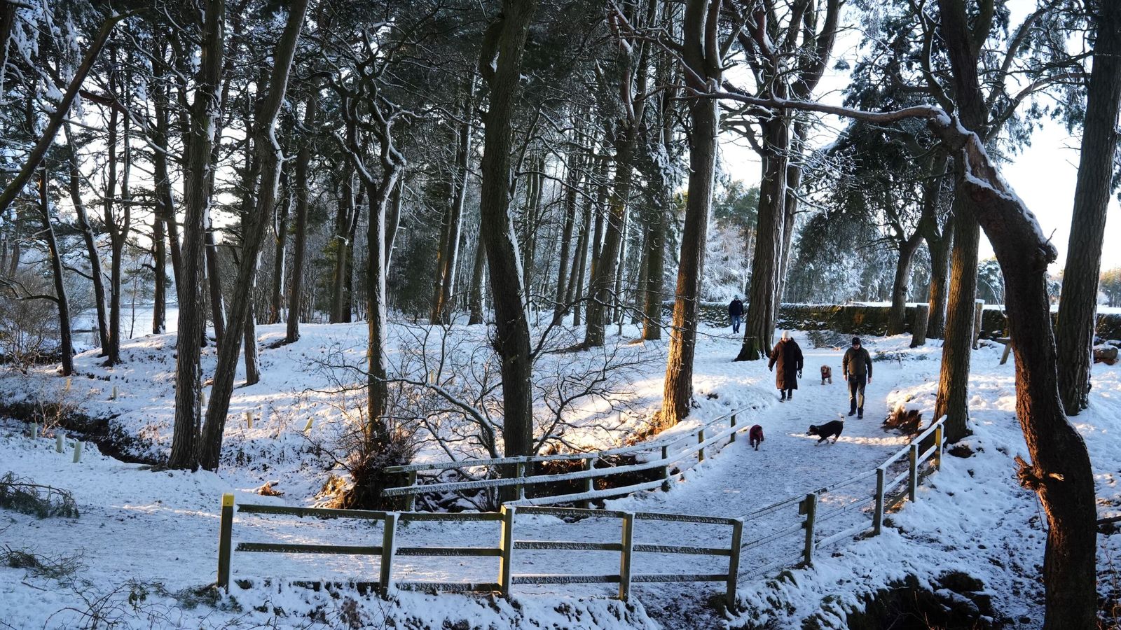 UK weather: Warnings for snow and freezing rain across large parts of the country this weekend